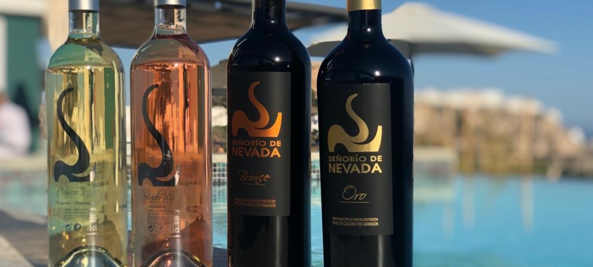 Vinos de la Costa Tropical en Miba Skybar